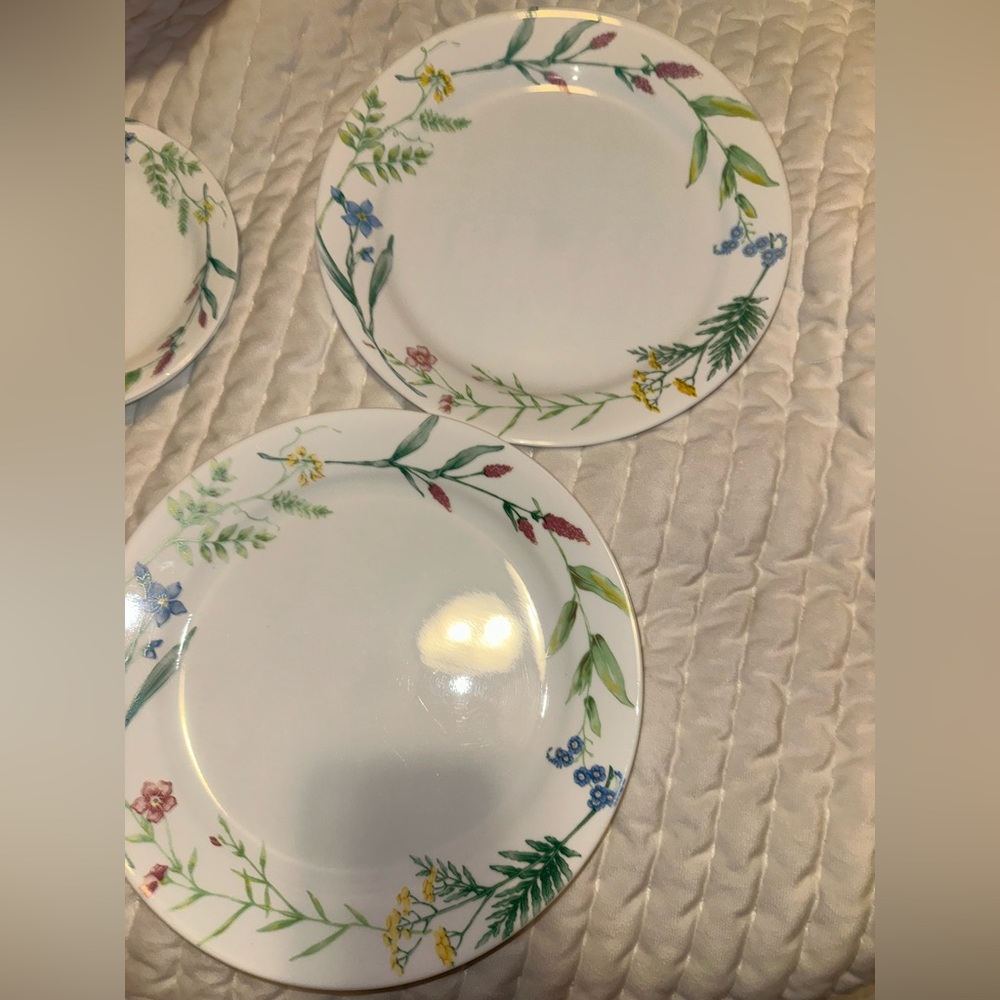 Corelle My Garden Plates - Picture 7 of 7